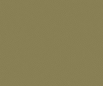 Greenish Beige