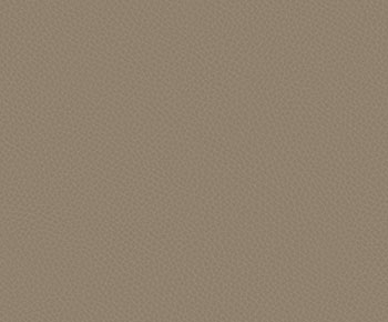 Light Taupe