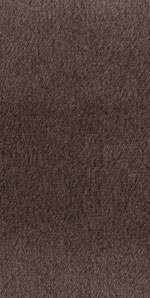 Liver Chestnut (Horses)