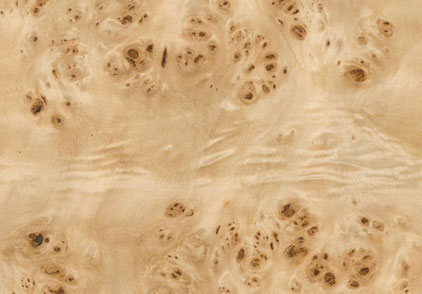 Maple Burl Poplar Seamless