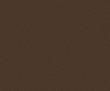 Medium Brown