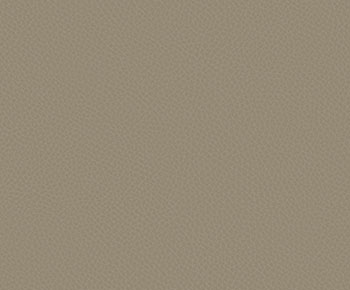 Sand Beige