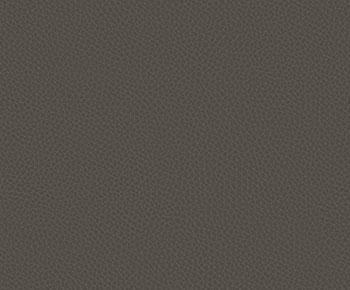 Sand Grey